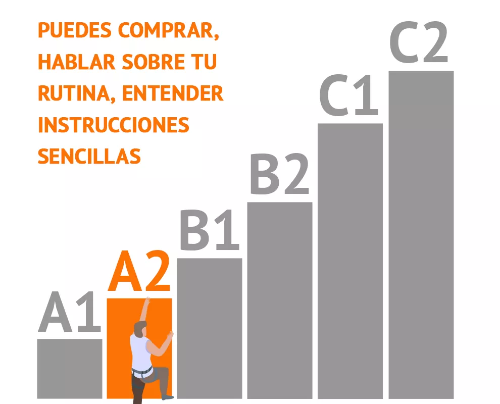 niveles europeos de competencia lingüística
